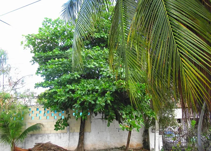 Cocos